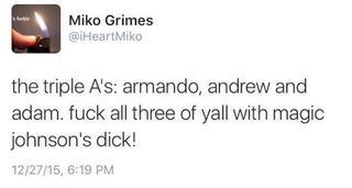 Illustration for article titled Miko Grimes Says She Tweeted Dumb Shit On Purpose To Get The Dolphins To Cut Her Husband